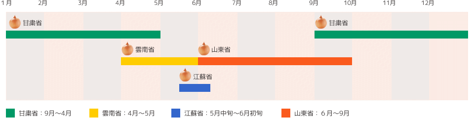 甘粛省産：１０月から３月、雲南省産：４月から5月中旬、江蘇省産：5月中旬から6月初旬、山東省産：６月から９月